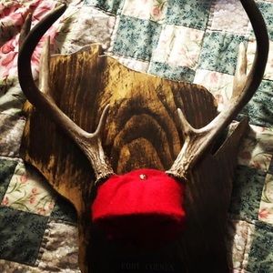 Meet your Posher, Cody